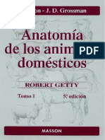 Anatomia de Los Animales Domesticos Tomo 1 5 Edicion - Robert Getty