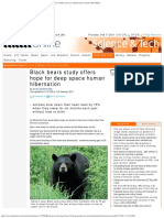 Black Bears Slow Heartbeat by 75% During Hibernation Without Food or Drink