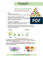 gvc3 1periodo Semana8 Ciencias 501 A 505