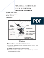 Actividad Microscópio