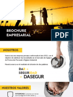 Brochure Dasegur