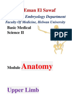 Dr. Eman El Sawaf: Anatomy & Embryology Department