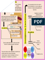 Infografia Habilidades Directivas