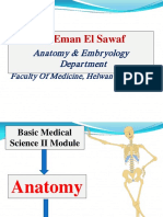 Dr. Eman El Sawaf: Anatomy & Embr Yology Depar Tment