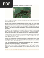 Ikan Kelah3  PDF