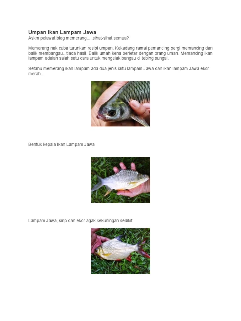 Ikan L Pdf