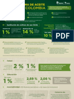 INFOGRAFIA DIVIDENDO PALMERO - Web