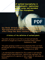 Adaptations of Wetland Macrophytes in Saturated Anoxic Sediments: Implications For Biogeochemical Cycles and Microbial Processes in The Rhizosphere