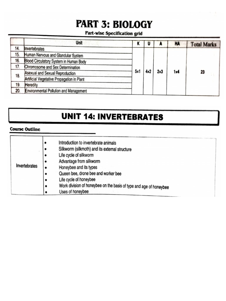 Two Useful Insects Silkworm and Honey Bee PDF Honey Bee Bees