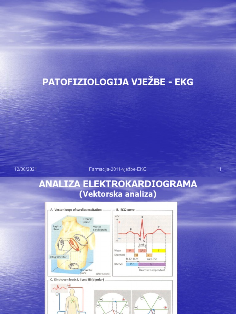 Farmacija-2011-vježbe-EKG 1 12/08/2021 | PDF