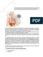 UNIDAD TEMÁTICA 4 LA RESPIRACION