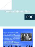 Conducta Molar y Molecular