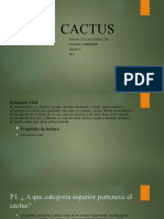 Cactus P.I Power Point 3 Entrega