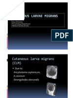 DMS-K3.2 Cutaneous Larvae Migrans 27-01-10