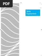 teorias organizacionais