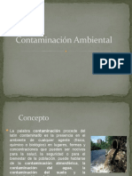 Contaminacion Ambiental - 6