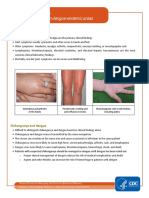 Chikungunya: Clinical Management in Dengue-Endemic Areas