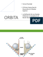 ORBITA Tercer Semestre