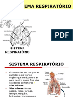 Apresentação-SISTEMA RESPIRATÓRIO 8-Ano