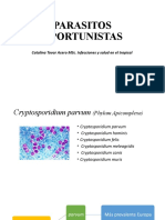 Parasitos Oportunistas: Catalina Tovar Acero Msc. Infecciones Y Salud en El Tropical