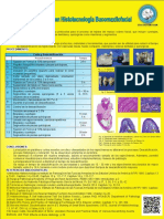 Deslcalcificacion Histotecnologia Bucomaxilofacial - Ya