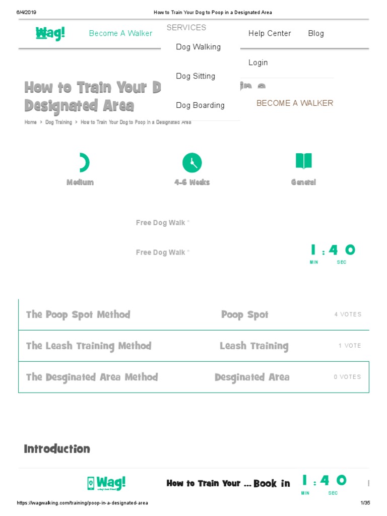 How To Train Your Dog To Poop in A Designated Area PDF Leash Dogs