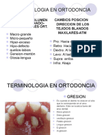 Terminologia en Ortodoncia