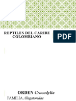 Reptiles Del Caribe Colombiano