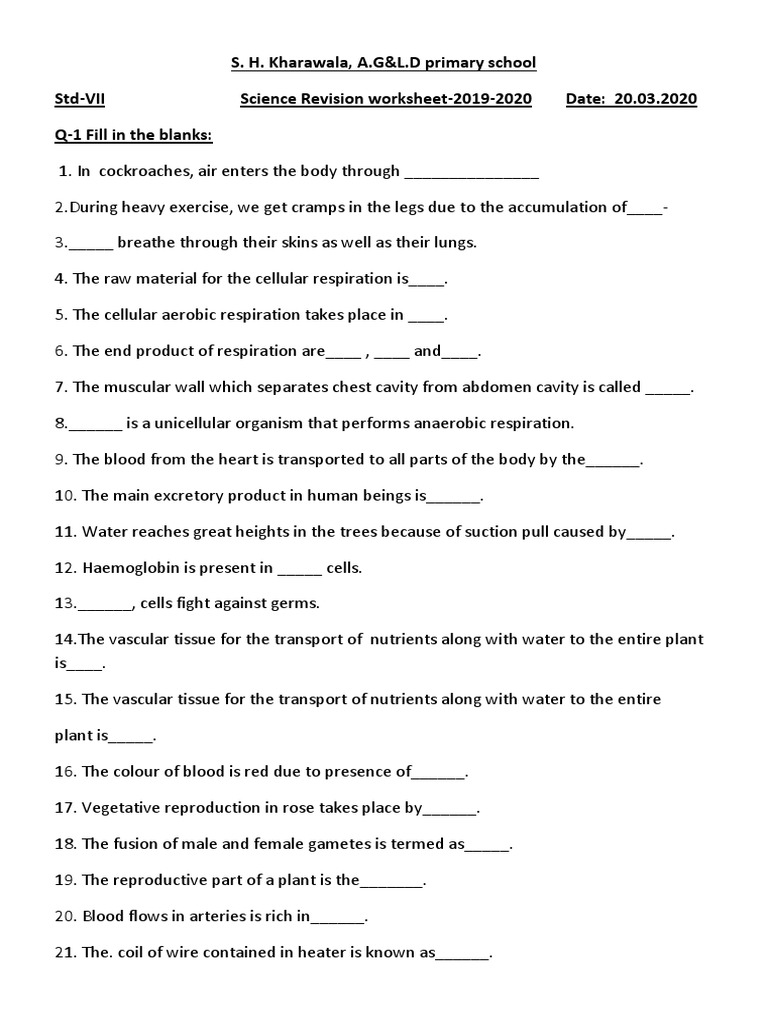 Shkagld STD 7 Science Revision Worksheet 2019 2020 | PDF | Blood Vessel ...