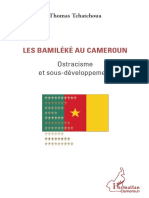 Bamiles Cameroun