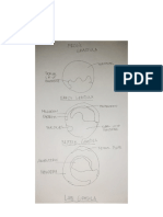 Dagum, Lean Ysidore V. 2-AHB Gastrulation