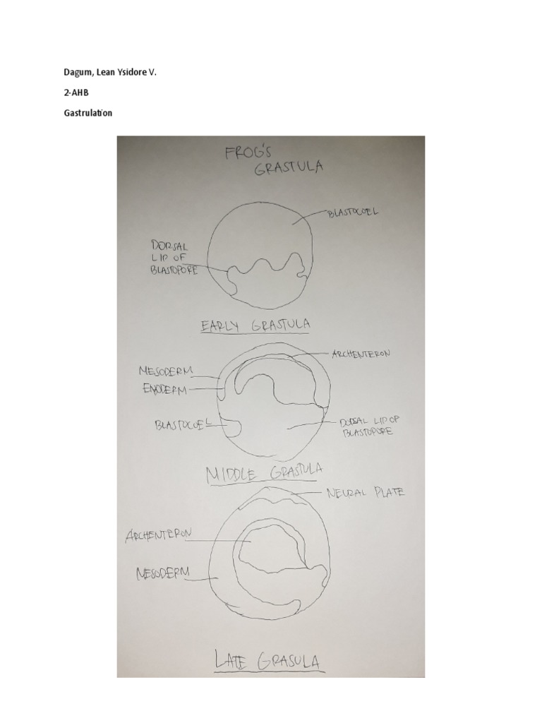 Mathematics In Lean.pdf