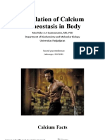 16. Regulation of Calcium Homeostasis