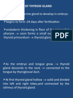 Development of Thyroid Gland