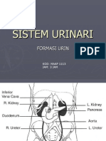 US-rine Formation10