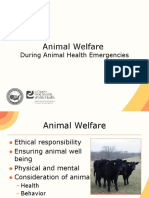 08 Animal Behavior Restraint Cattle JIT PPT FINAL | PDF | Cattle |  Domestication