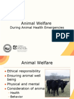 10 Animal Welfare Overview JIT PPT FINAL