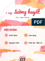 Hạ Đường Huyết