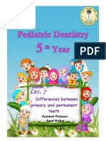 7-Differences Between Primary and Permanent Teeth