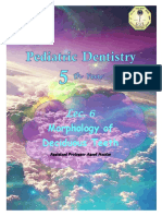 6-Morphology of Deciduous Teeth