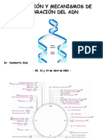 3 Replicación y Mecanismos de Reparación Del ADN (2021 PS) - Clase 3