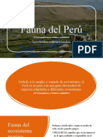 Fauna Del Peru