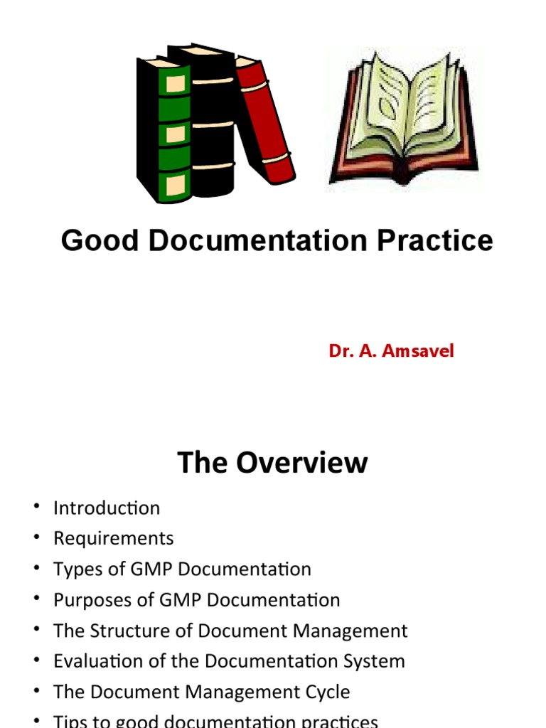 GMP Documentation Practices Overview | PDF