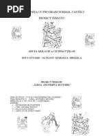 PROIECT TEMATIC IARNA