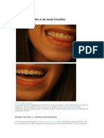 5 tipos de dentes e as suas funções