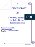 Company - Secretary Project Report