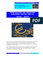 Articol - Finantari Europene IMM 2010-2013