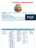 Actividad de Lectura Y Comprensión de Textos