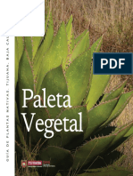 Paleta Vegetal Plantas Nativas de Tijuana