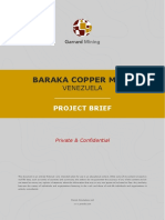 PACTIO E Project Brief
